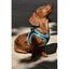 Nayeco X-TRM Neo Marrón arnés para perros, , large indicador imagen numero 2